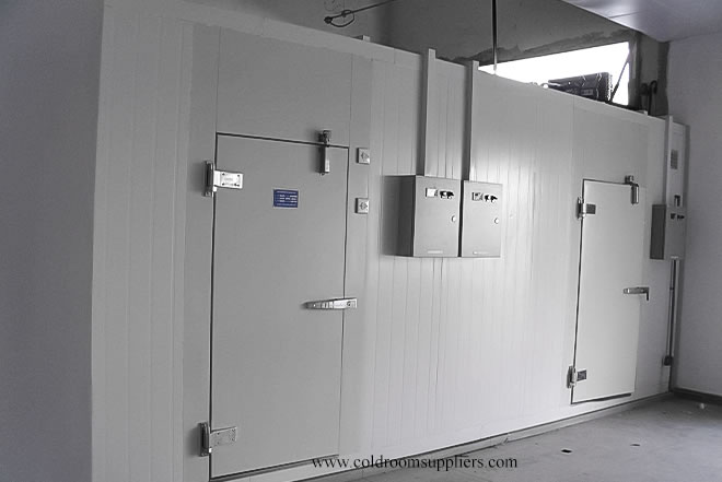 Cold Room Hinged Door