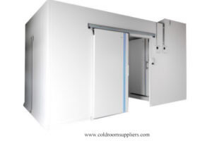 Cold Room Sliding Door