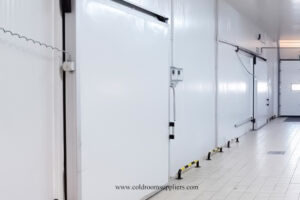 Cold Room Sliding Door